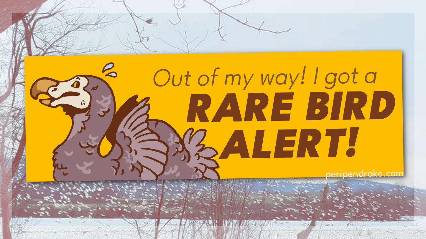 Rare Bird Alert | Mini Bumper Sticker