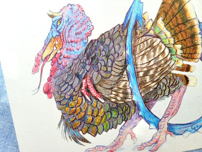Turketrice | Print