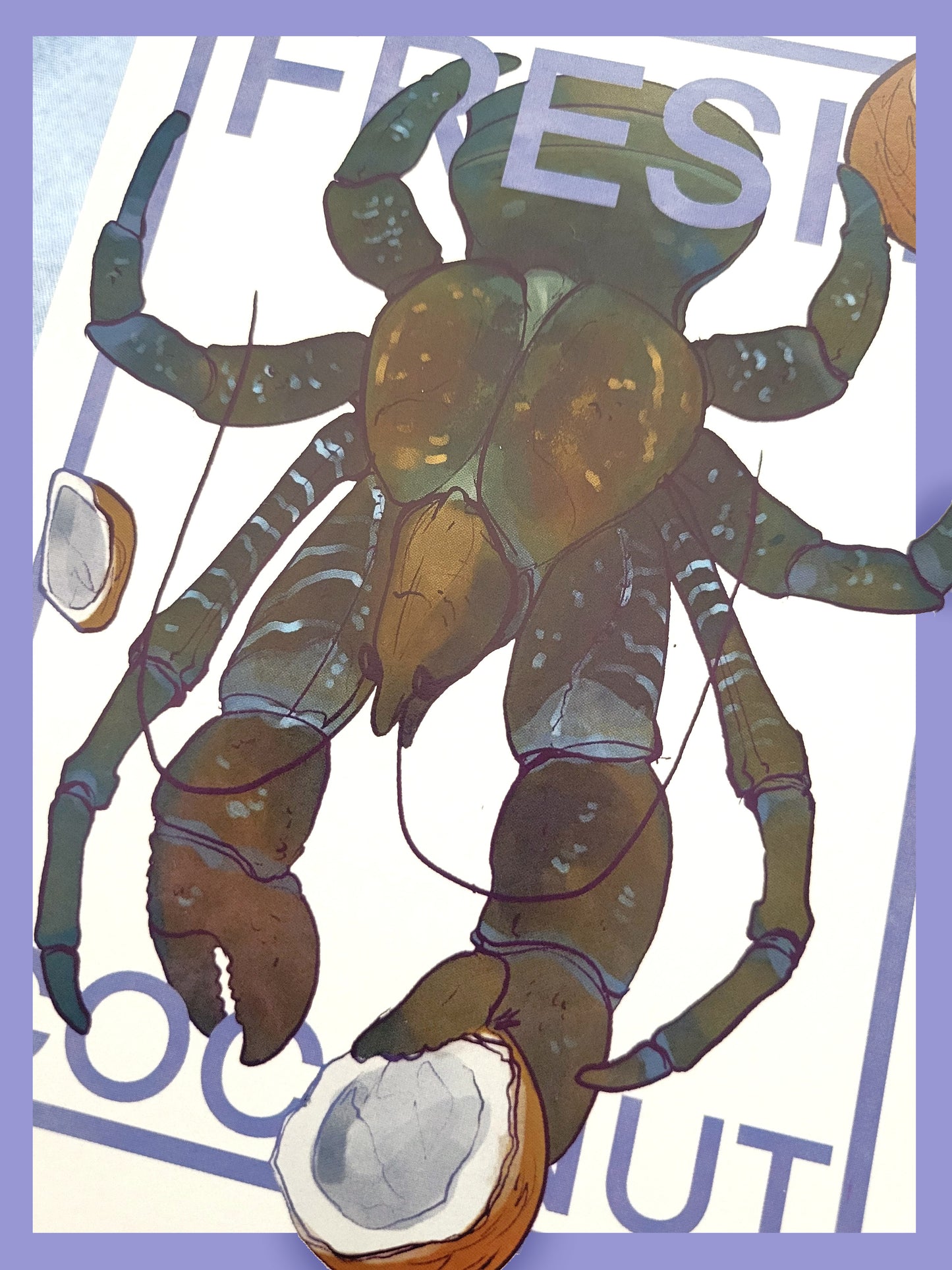 Coconut Crab | Print