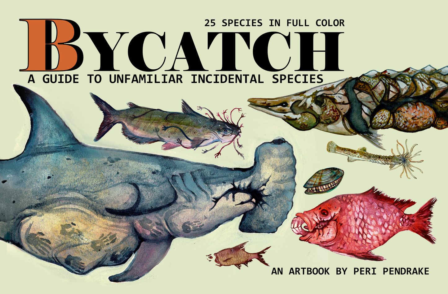Bycatch: A Guide to Unfamiliar Incidental Species | ARTBOOK